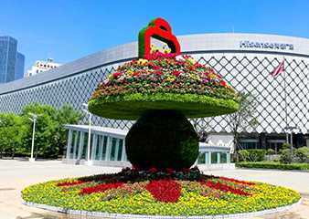 五色草綠雕 盛世花籃